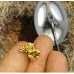 металлоискатель для поиска золота